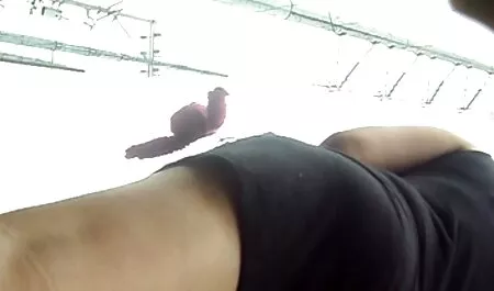 Vitka Ksyusha preplavila porno mom and son in hotel joj je lice vrućom spermom