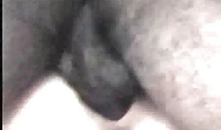 Preplanula, prsata kuja raširila je video porno mom noge i miluje pukotinu