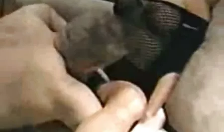Bijeli porno son and mom tip sisa veliki crni penis